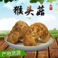 产地货源 东北野生猴头菇 产地野生猴头菇2斤散装 特产批发